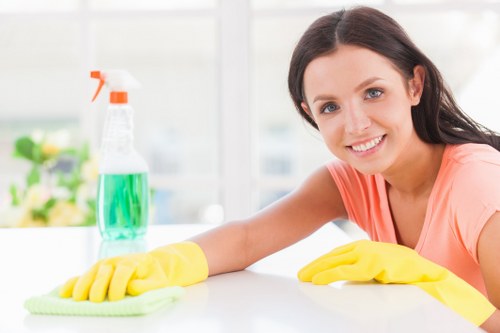 Professional sofa cleaning for a fabric sofa in a N1 home