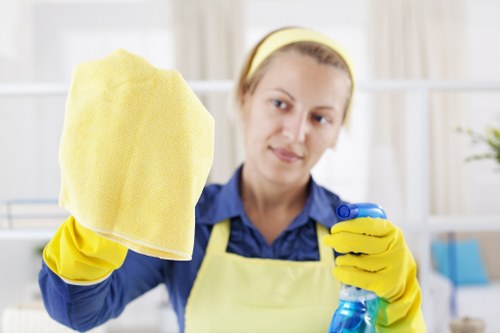 Professional oven cleaning service for a kitchen in N1