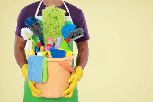 Professional mattress cleaning service for homes in N1