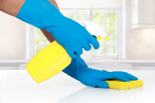Deep carpet care and stain removal treatment