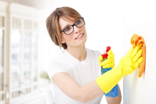 Domestic and commercial oven cleaning service in the N1 area