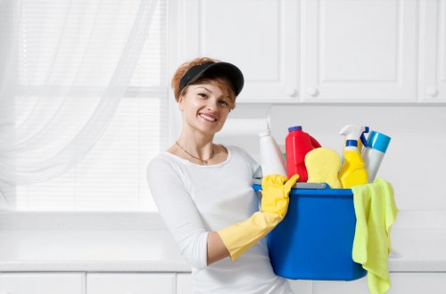Image representing screen-reader friendly structure for Carpet Cleaners N1