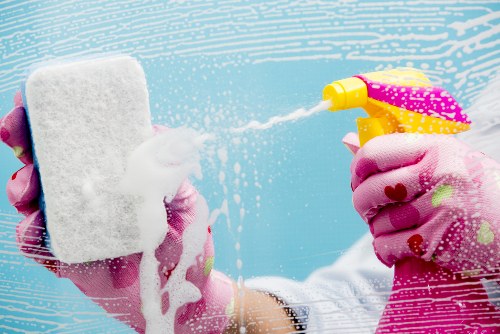 Technician treating a pet stain on a carpet in an N1 home