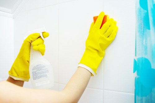 Regular cleaning for N1 homes and apartments