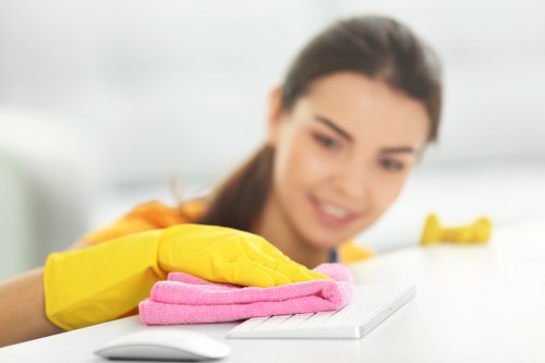 Regular house cleaning for busy households in N1 residential streets