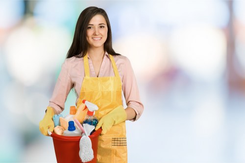 Local cleaners working in a N1 residential flat