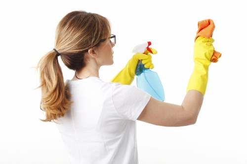 Detailed kitchen and bathroom cleaning before moving into an N1 property