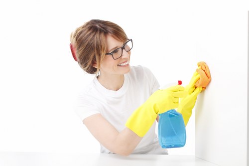 Service terms and conditions information for carpet cleaning customers