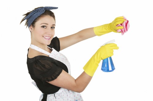 Ongoing domestic cleaning service across N1
