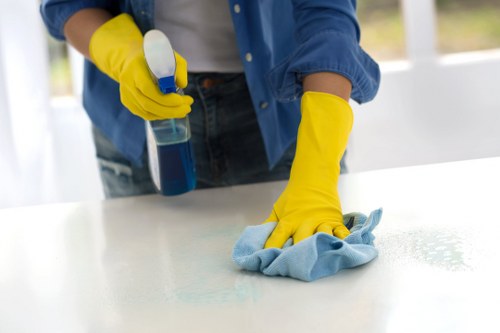 Deep carpet cleaning equipment used in an N1 property