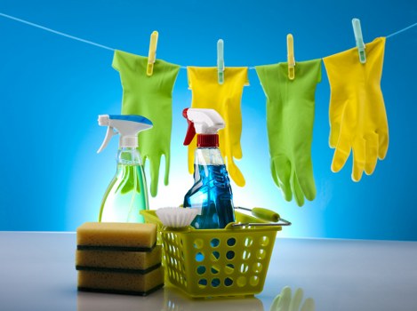 Professional regular cleaning for an N1 office