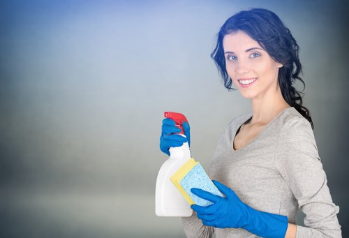 Routine kitchen and bathroom cleaning in N1