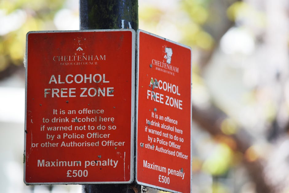 Two red metal signs attached to a black pole outdoors, displaying the message 'Alcohol Free Zone' with Cheltenham Borough Council branding. The signs contain text indicating that drinking alcohol in t