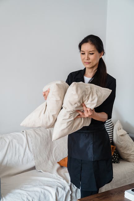 Licences insurance and safety for Islington upholstery cleaning