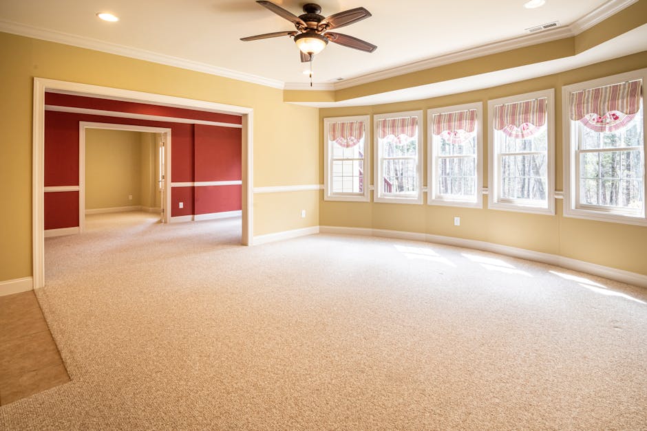 A spacious, well-maintained living room featuring a beige carpet that appears clean and plush, with a light yellow painted wall and white trim. The room is illuminated by natural sunlight streaming through a large bay window dressed with pink and white patterned valances. The ceiling is white and includes a ceiling fan with a light fixture. Adjacent to the living room is an adjoining room with a red accent wall, visible through a wide doorway framed with white trim. The overall appearance of the space suggests thorough surface cleaning and maintenance, highlighting the importance of deep cleaning and sanitisation provided by Carpet Cleaners N1 for residential surfaces such as carpets and walls.